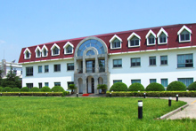 Company Profile